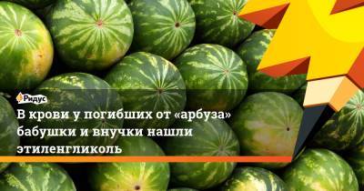 В крови у погибших от «арбуза» бабушки и внучки нашли этиленгликоль - ridus.ru - Москва