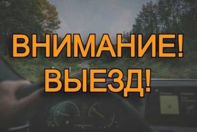 В Ивановской области ищут лесную «потеряшку» с разными глазами - mkivanovo.ru - Ивановская обл.