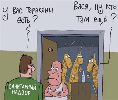 Слушается дело о тараканах. Ульяновец избил нечистоплотного соседа - ulpravda.ru - Ульяновск - район Засвияжский, Ульяновск