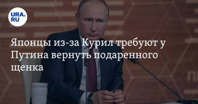 Владимир Путин - Японцы из-за Курил требуют у Путина вернуть подаренного щенка - ura.news - Россия - Япония - Иран