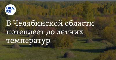 В Челябинской области потеплеет до летних температур. Скрин - ura.news - Челябинская обл.
