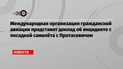 Роман Протасевич - Международная организация гражданской авиации представят доклад об инциденте с посадкой самолёта с Протасевичем - echo.msk.ru - Белоруссия - Вильнюс - Минск