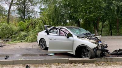 В воронежском селе Kia врезалась в дерево: два человека в больнице - vestivrn.ru - Воронежская обл.