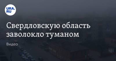 Свердловскую область заволокло туманом. Видео - ura.news - Свердловская обл.
