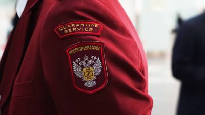 Роспотребнадзор перечислил циркулирующие в России штаммы коронавируса - inforeactor.ru - Россия - США - Англия - Израиль - Австралия - Монако