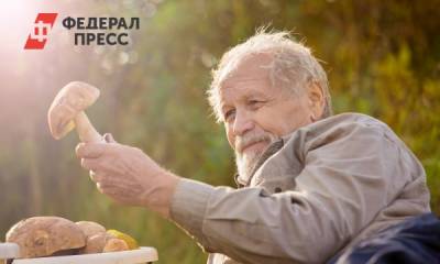 Россияне рассказали, удалось ли им найти грибы в лесах после засух и пожаров - fedpress.ru - Москва - Россия