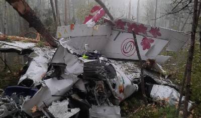 Выживший в катастрофе L-410 пилот назвал причину крушения - newizv.ru - Иркутская обл.