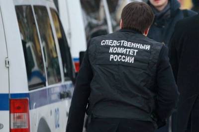 СКР проводит проверку по факту приставаний мужчины к ребенку в Смоленске - rabochy-put.ru - Смоленск - Смоленская обл.