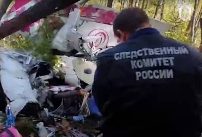 Следователи показали видео с места крушения L-410 под Иркутском - online47.ru - Россия - Иркутская обл. - Иркутск - Следственный Комитет