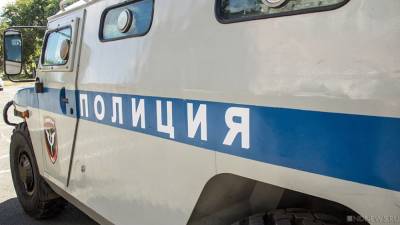 В Челябинской области левых активистов задержали перед встречей с кандидатом в Госдуму - newdaynews.ru - Россия - Челябинская обл. - Челябинск - Магнитогорск