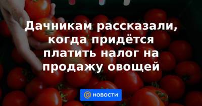 Дачникам рассказали, когда придётся платить налог на продажу овощей - news.mail.ru