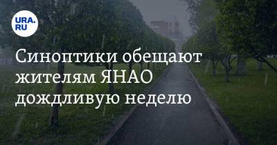Синоптики обещают жителям ЯНАО дождливую неделю - ura.news - окр. Янао