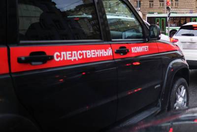 Александр Бастрыкин - В СКР захотели возбудить дела против пятерых российских судей - lenta.ru - Россия - Московская обл. - Воронежская обл.