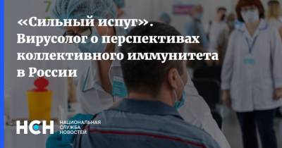 Анастасия Ракова - Александр Чепурнов - «Сильный испуг». Вирусолог о перспективах коллективного иммунитета в России - nsn.fm - Москва - Россия