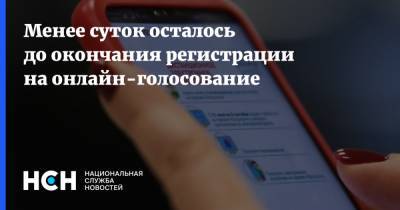 Менее суток осталось до окончания регистрации на онлайн-голосование - nsn.fm - Москва