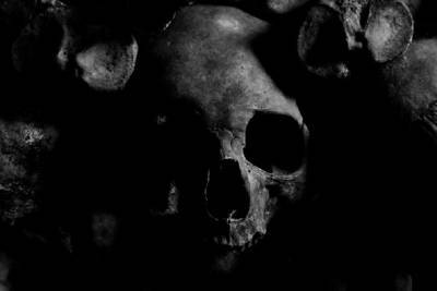 Скелет человека нашли возле деревни Хитиничи – он пролежал в лесу долгое время - ivbg.ru - Украина - Ленинградская обл. - район Бокситогорский