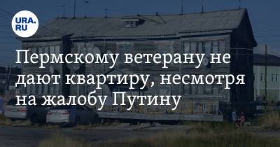 Владимир Путин - Пермскому ветерану не дают квартиру, несмотря на жалобу Путину - ura.news - Россия - Пермь - Пермский край