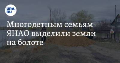 Многодетным семьям ЯНАО выделили земли на болоте. «Участки топит каждую весну и осень» - ura.news - Салехард - окр. Янао