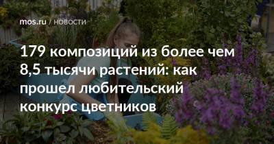 179 композиций из более чем 8,5 тысячи растений: как прошел любительский конкурс цветников - mos.ru - Москва
