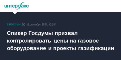 Вячеслав Володин - Спикер Госдумы призвал контролировать цены на газовое оборудование и проекты газификации - interfax.ru - Москва - Россия
