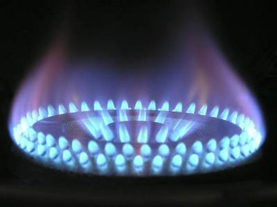 Дмитрий Маринченко - Стоимость тысячи кубометров газа в Европе дошла до рекорда и приближается к $740 - rosbalt.ru