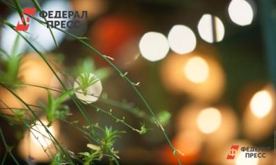 В Новосибирске свыше тысячи домов остались без света - fedpress.ru - Новосибирск