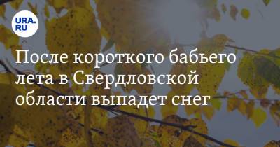 После короткого бабьего лета в Свердловской области выпадет снег - ura.news - Россия - Свердловская обл.