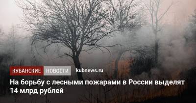 Михаил Мишустин - Юрий Борисов - На борьбу с лесными пожарами в России выделят 14 млрд рублей - kubnews.ru - Россия - округ Сибирский