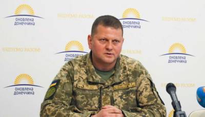 Валерий Залужный - Главком ВСУ анонсировал новые закупки беспилотников у Турции - lenta.ua - Украина - Турция