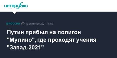 Владимир Путин - Путин прибыл на полигон "Мулино", где проходят учения "Запад-2021" - interfax.ru - Москва - Россия - Армения - Казахстан - Белоруссия - Нижегородская обл. - Киргизия - Индия - Монголия