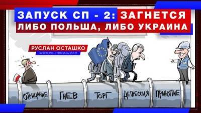 Главных транзитёров российского газа ждет борьба за выживание - argumenti.ru - Россия - Украина - Германия - Польша - Транзит