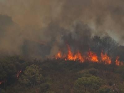 El Pais - Пожары на юге Испании продолжаются: сгорело более 7 тыс. гектаров - unn.com.ua - Украина - Киев - Испания
