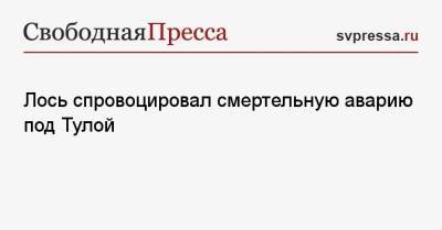 Лось спровоцировал смертельную аварию под Тулой - svpressa.ru - Ленинградская обл. - Тула - Вологодская обл. - Тульская обл.