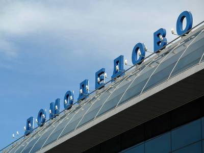 Прокуратура начала проверку после потери в «Домодедово» собаки, сданной в багаж - rosbalt.ru - Москва - Симферополь