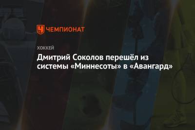 Дмитрий Соколов - Дмитрий Соколов перешёл из системы «Миннесоты» в «Авангард» - championat.com - шт. Миннесота