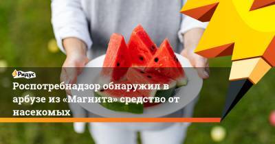 Роспотребнадзор обнаружил в арбузе из «Магнита» средство от насекомых - ridus.ru - Москва
