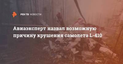 Вадим Лукашевич - Авиаэксперт назвал возможную причину крушения самолета L-410 - ren.tv