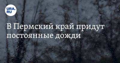 В Пермский край придут постоянные дожди - ura.news - Пермский край