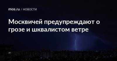 Москвичей предупреждают о грозе и шквалистом ветре - mos.ru - Москва