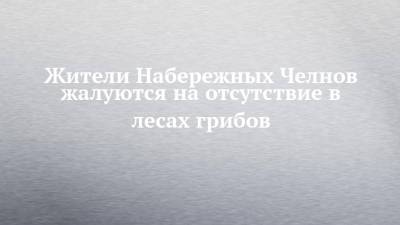 Жители Набережных Челнов жалуются на отсутствие в лесах грибов - chelny-izvest.ru - Набережные Челны