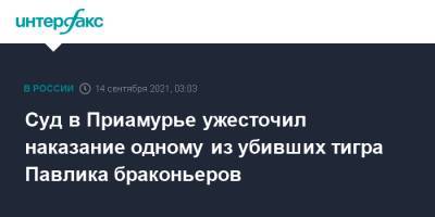 Суд в Приамурье ужесточил наказание одному из убивших тигра Павлика браконьеров - interfax.ru - Москва - Амурская обл.