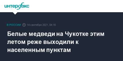 Белые медведи на Чукотке этим летом реже выходили к населенным пунктам - interfax.ru - Москва - Чукотка