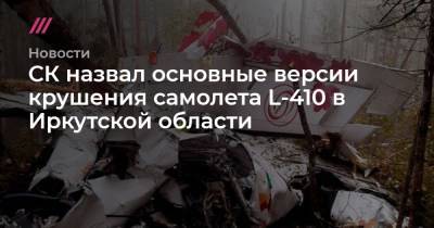 СК назвал основные версии крушения самолета L-410 в Иркутской области - tvrain.ru - Иркутская обл. - Иркутск
