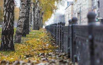 К 20 сентября средняя температура в Новосибирске опустится до плюс восьми градусов - runews24.ru - Новосибирск - Новосибирская обл.