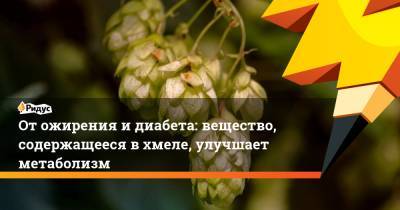 От ожирения и диабета: вещество, содержащееся в хмеле, улучшает метаболизм - ridus.ru - США - штат Орегон