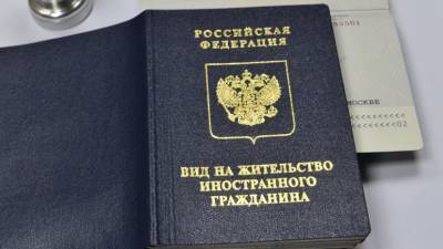 В России намерены упростить получение вида на жительство для IT-специалистов - russian.rt.com - Россия