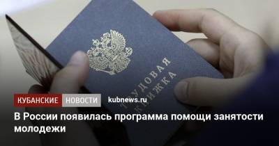 Татьяна Голикова - В России появилась программа помощи занятости молодежи - kubnews.ru - Россия