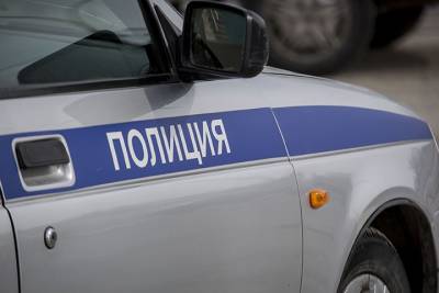 В Петербурге арестовали женщину, которая держала своих детей на цепи - vm.ru - Санкт-Петербург - Тюмень
