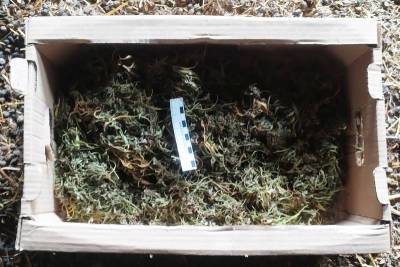 У двух зауральцев изъяли растительные наркотики в крупном размере - kikonline.ru - Россия - район Каргапольский