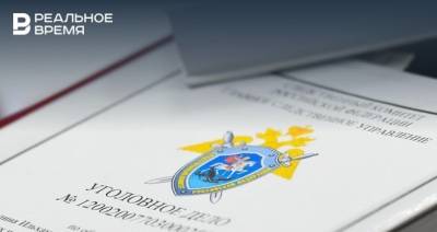 Максим Платонов - В Казани возбуждено дело об уклонении от налогов на 79 млн рублей - realnoevremya.ru - респ. Татарстан - Казань